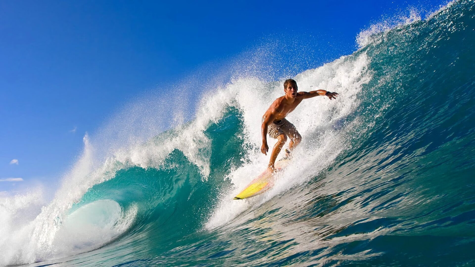 星空体育下载-美男队蝉联混合泳冠军六连冠，男子混合泳亚军